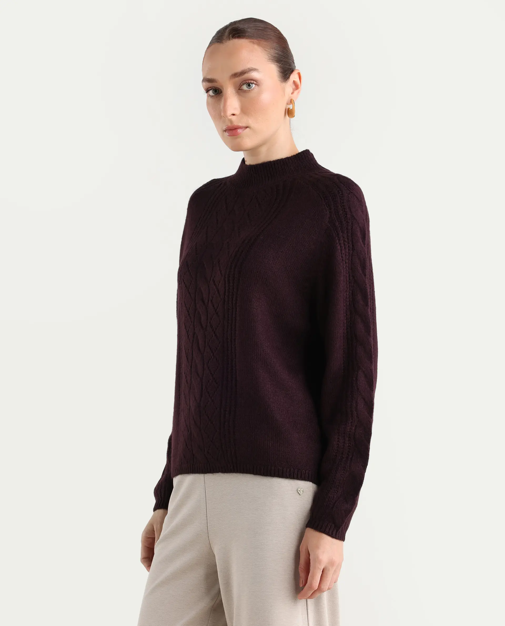 Rareism Women's Zella Dark Maroon Acrylic Blend High Neck Plain Regular Fit Sweater - Image 7