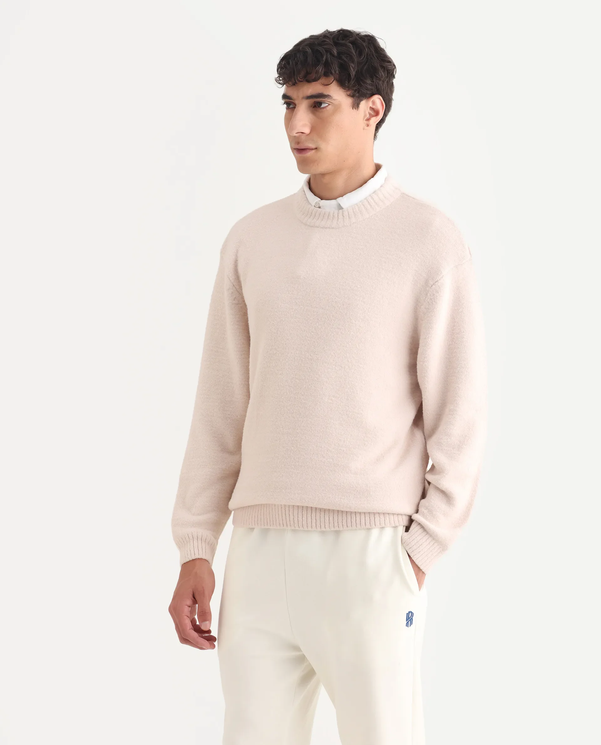 Rare Rabbit Men's Zeo-1 Beige Nylon Plain Regular Fit Full Sleeve Crew Neck Sweater - Image 4