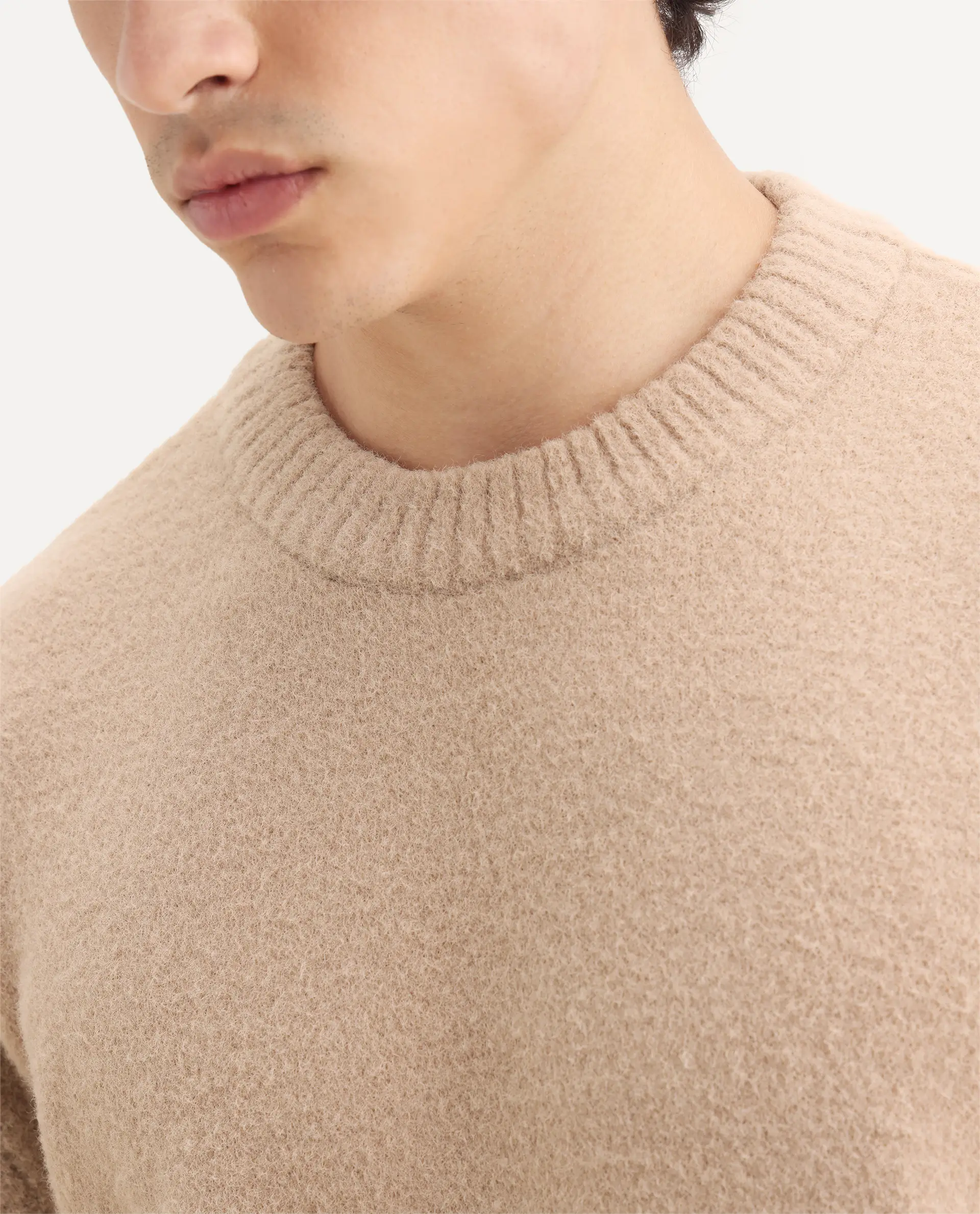 Rare Rabbit Men's Zeo-1 Dark Beige Nylon Plain Regular Fit Full Sleeve Crew Neck Sweater - Image 3