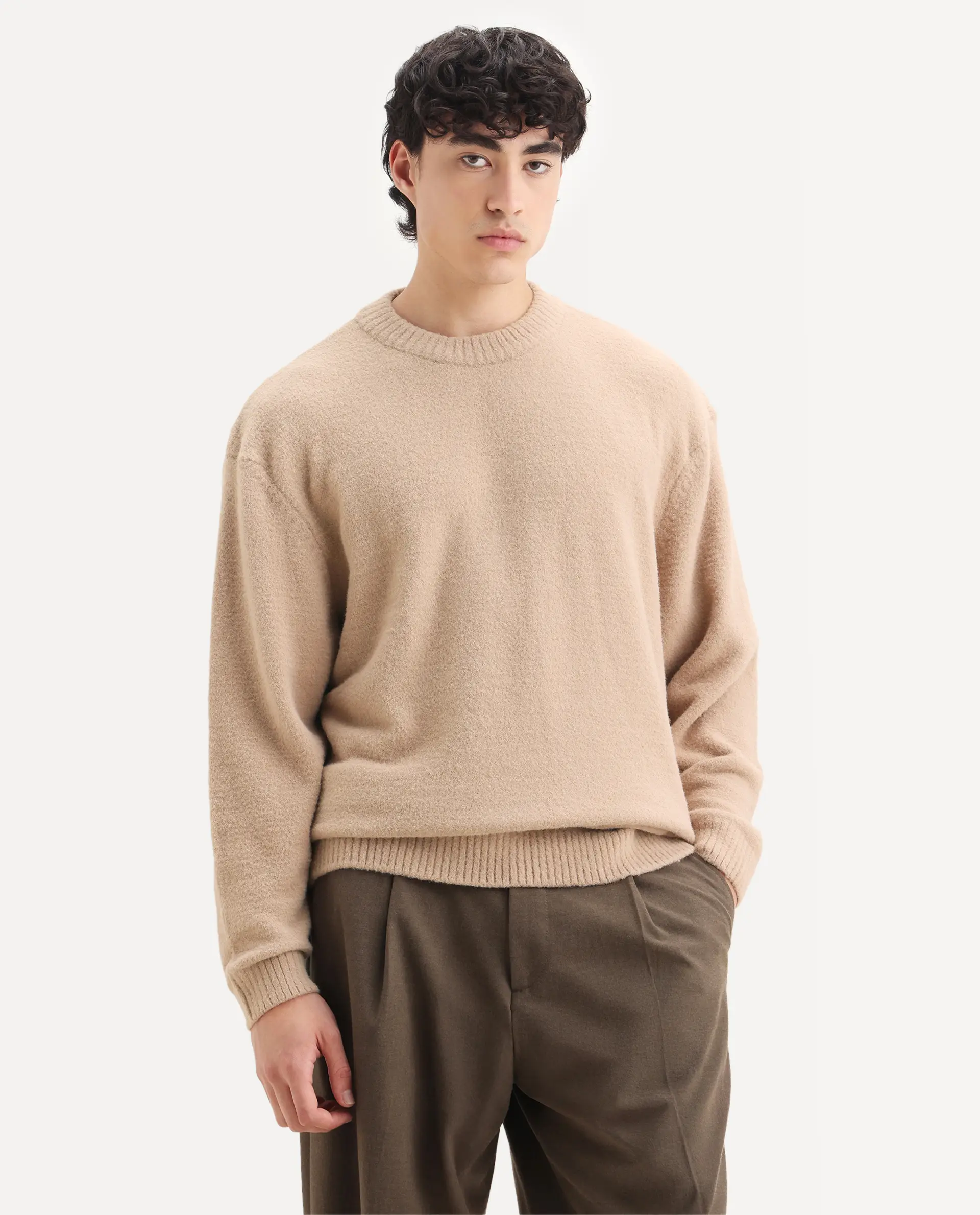 Rare Rabbit Men's Zeo-1 Dark Beige Nylon Plain Regular Fit Full Sleeve Crew Neck Sweater - Image 4