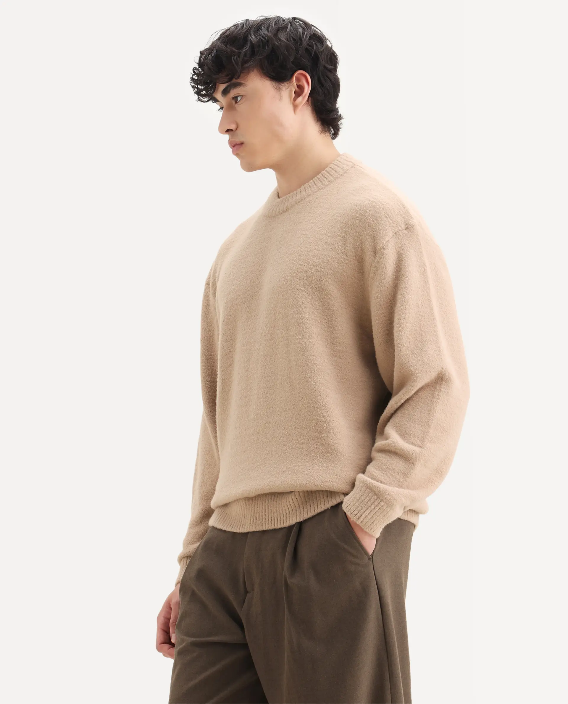 Rare Rabbit Men's Zeo-1 Dark Beige Nylon Plain Regular Fit Full Sleeve Crew Neck Sweater - Image 5