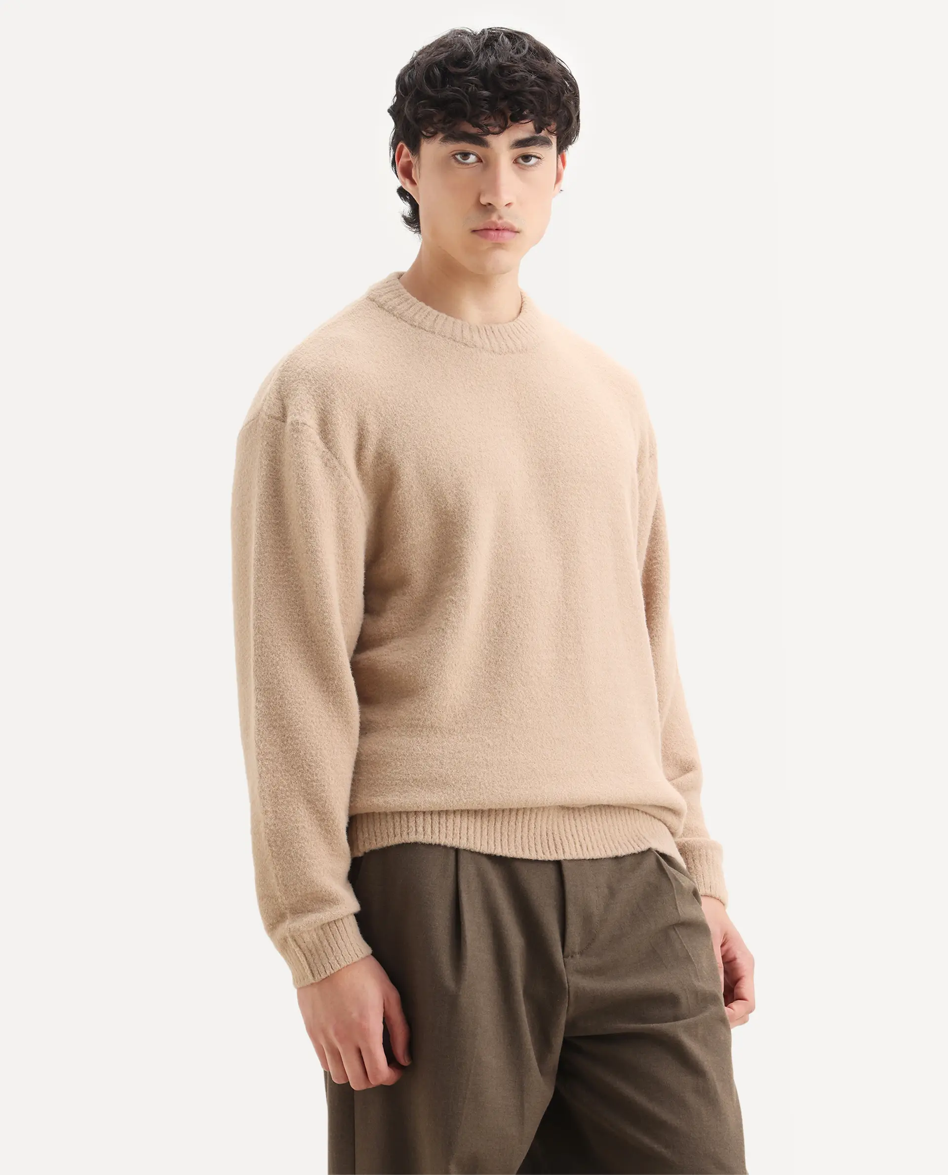 Rare Rabbit Men's Zeo-1 Dark Beige Nylon Plain Regular Fit Full Sleeve Crew Neck Sweater - Image 6