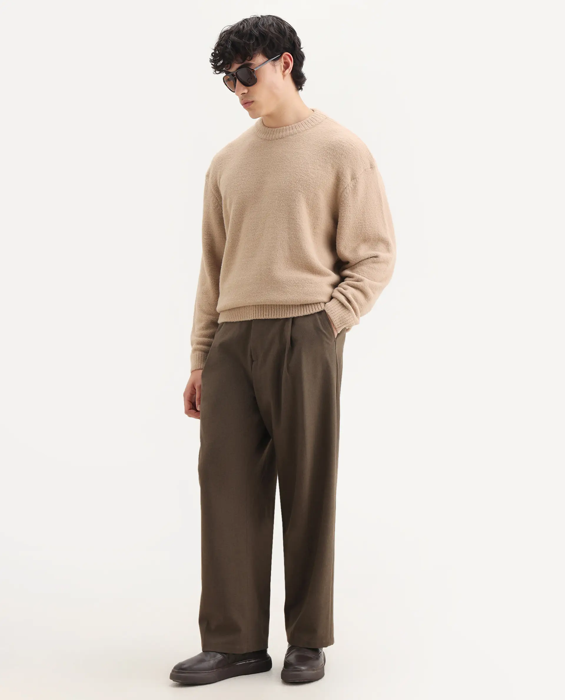 Rare Rabbit Men's Zeo-1 Dark Beige Nylon Plain Regular Fit Full Sleeve Crew Neck Sweater - Image 7