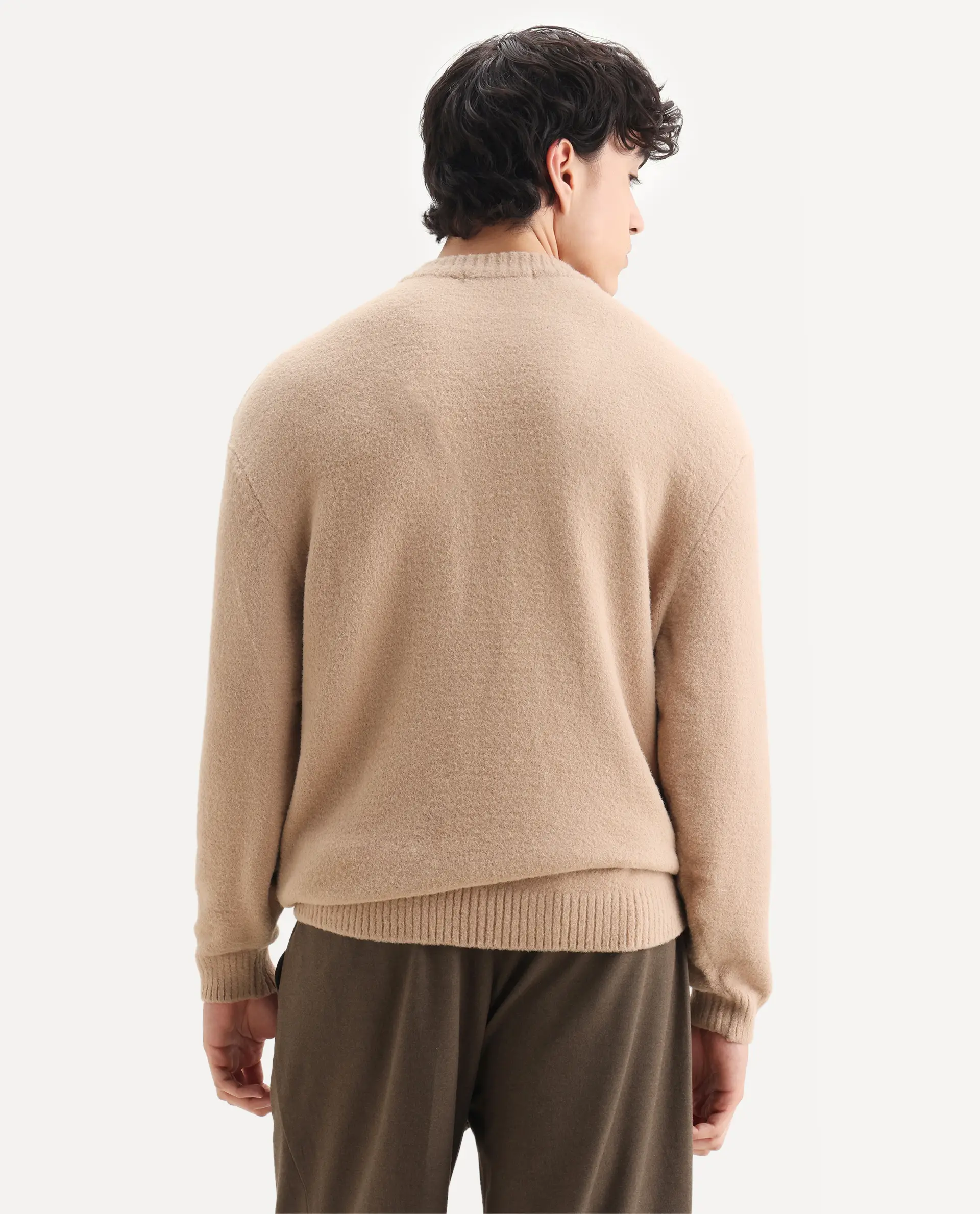 Rare Rabbit Men's Zeo-1 Dark Beige Nylon Plain Regular Fit Full Sleeve Crew Neck Sweater - Image 8