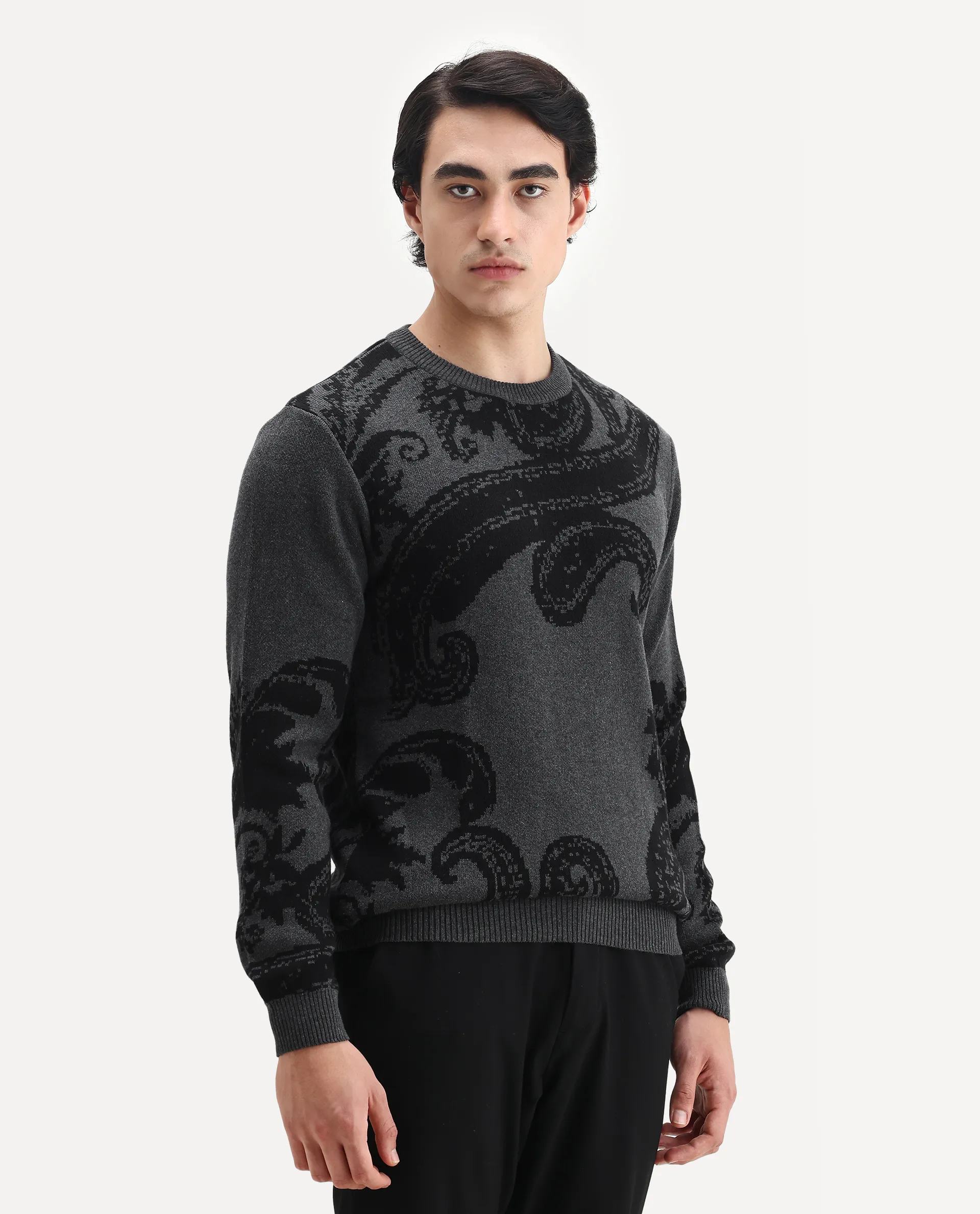 Rare Rabbit Men's Zuri Grey Cotton Jacquard Regular Fit Full Sleeve Crew Neck Sweater - Image 6