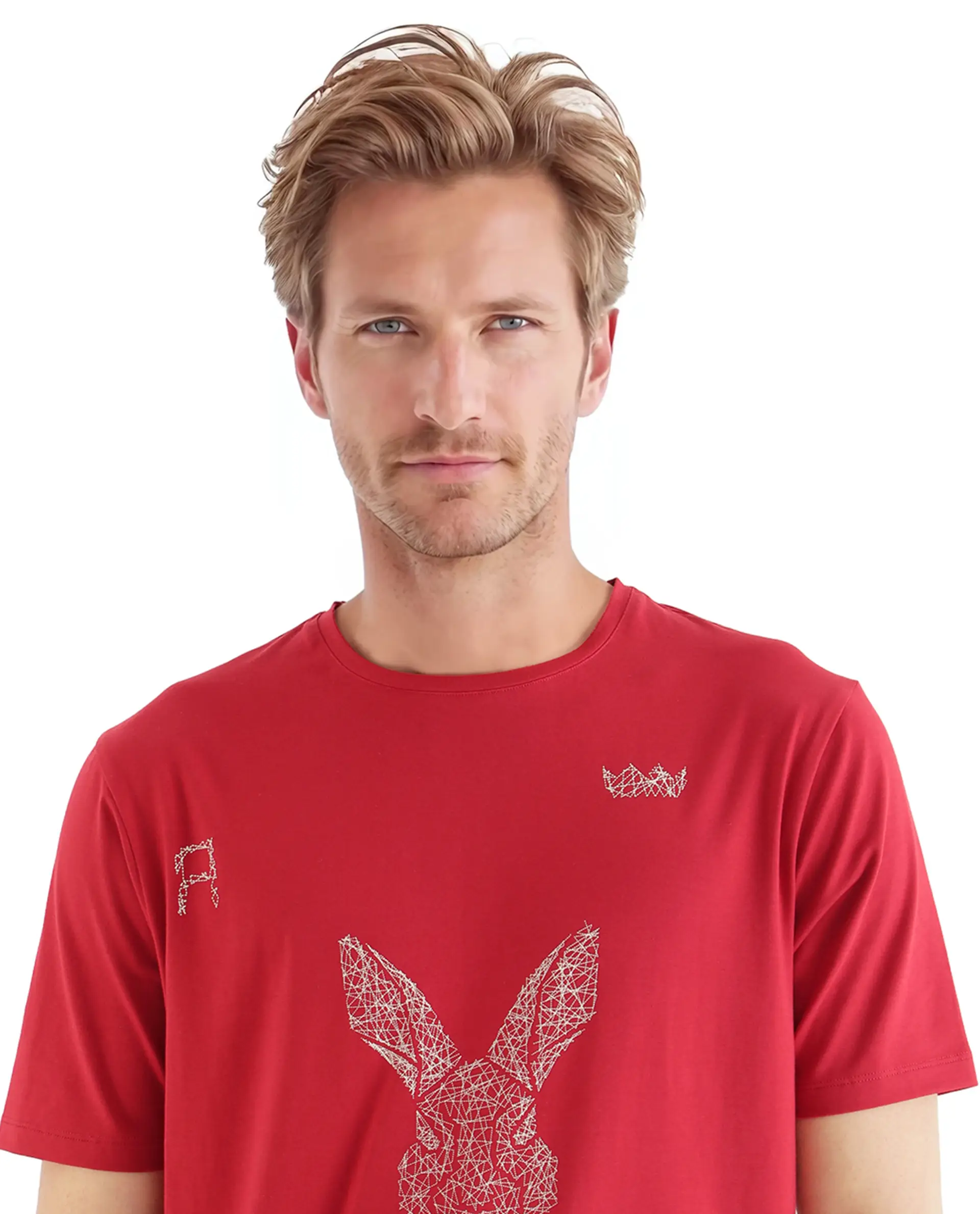 Rare Rabbit Men's Zylo Red Cotton Blend Graphic Print Regular Fit Half Sleeve Crew Neck T-Shirt - Image 7